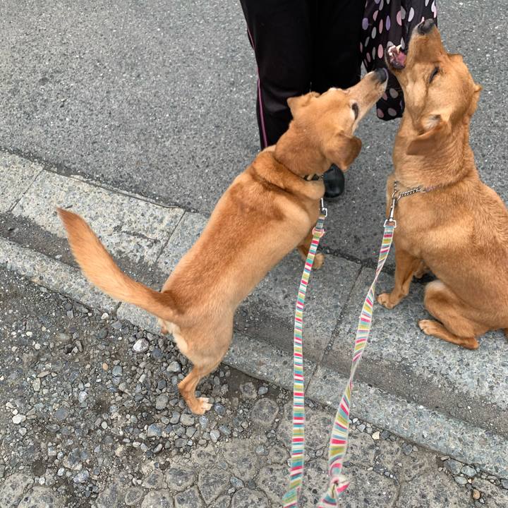 9f7a45ea 726c 47a9 a282 0a79d9c7006e 1621236880890