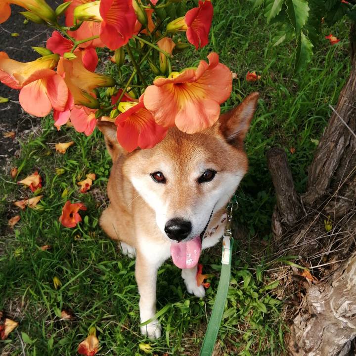 9f7a46a8 aef0 427d 97de 81f760b2c643 1624605669552