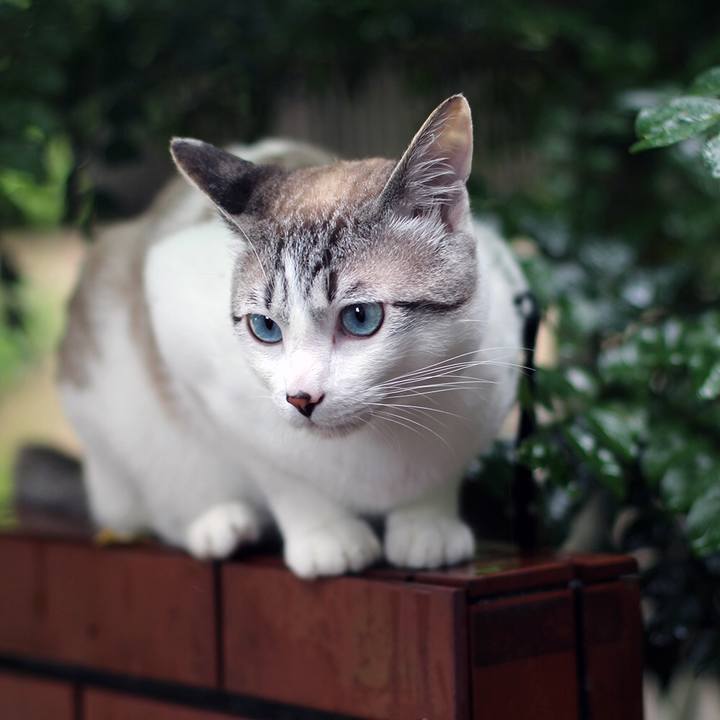 9f7a5d3a c27b 4463 8353 782abbc43bb0 1638317435375