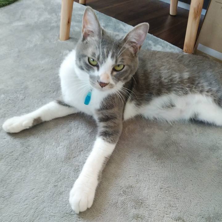 9f7a5e74 d189 480a b038 94d0843261fd 1592899201724