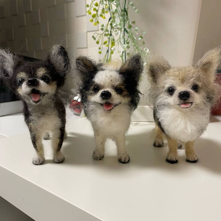 9f7a5f09 5b20 489a af49 0e60f862c399 1643283819521