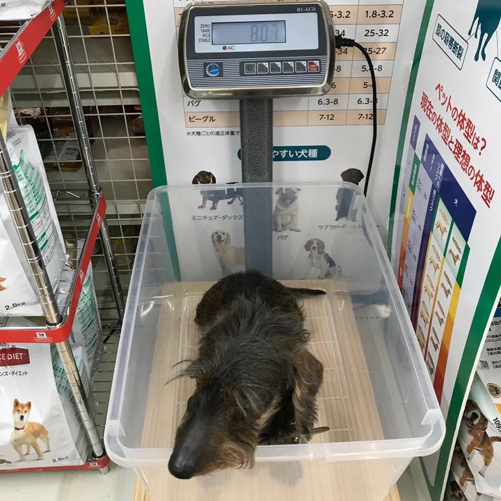 9f7a6d1a 14c0 4819 9a95 cca2f8ffdd93 1553431647150