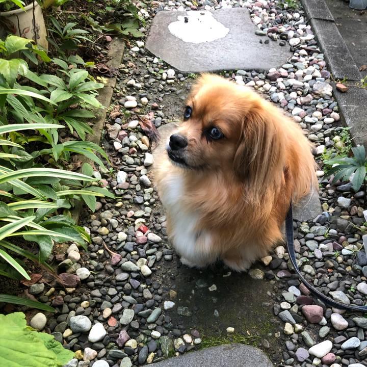 9f7a86d4 5284 4f63 b34d 6c32d2f29893 1564091279396