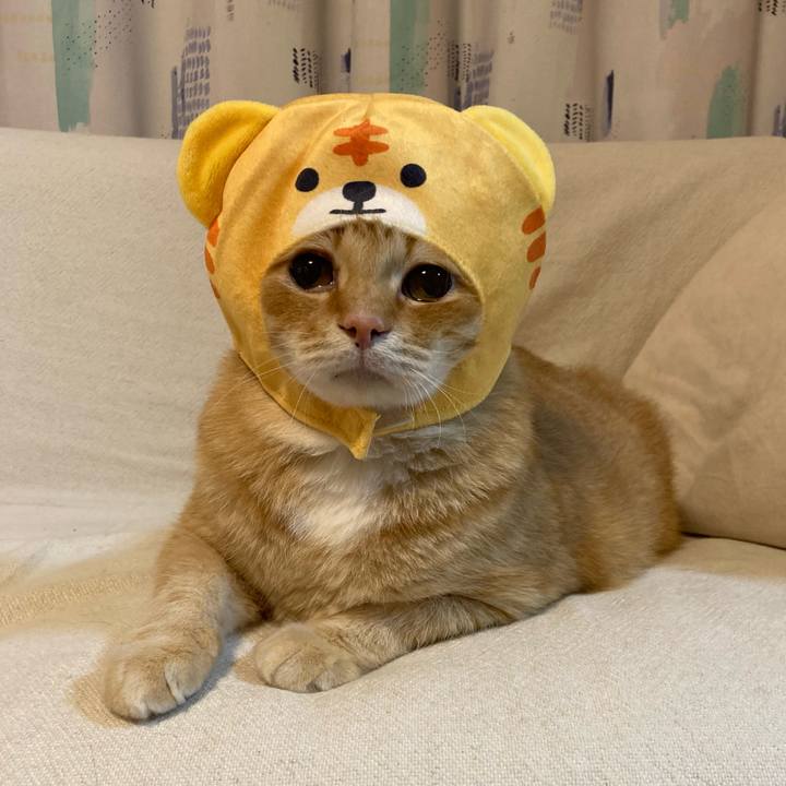 9f7a9806 c4b9 4ae7 ae80 b310b3a0208f 1758545626265