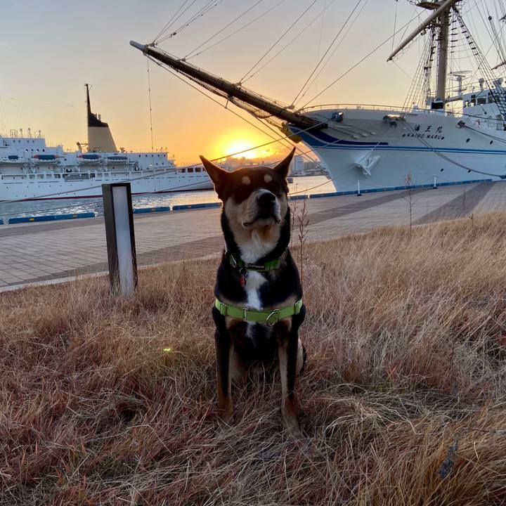 9f7ad54e f1a5 4c0b 8f97 8623bf98b19c 1609466981995