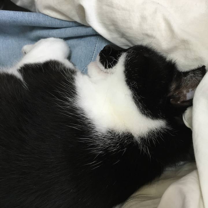 9f7ae863 a5e5 4a1e bfd9 8ae831c1120b 1588052890078