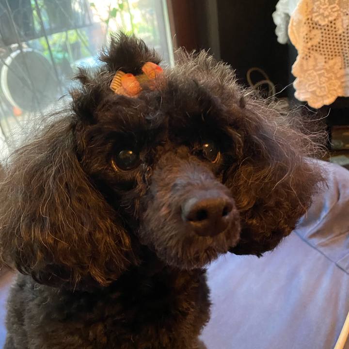 9f7b1ddc 4ec6 47f8 885a 9bf9032620c2 1629412865576