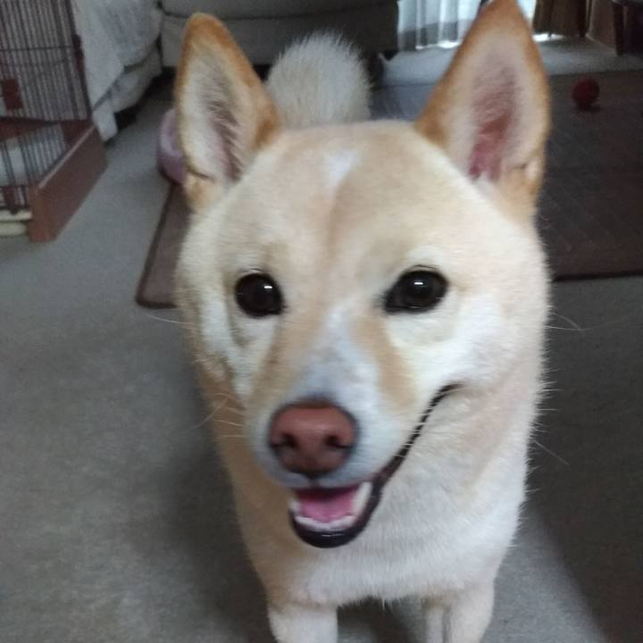 9f7b265b 0e7c 4ce0 afef d34a5b4eee23 1595366908578