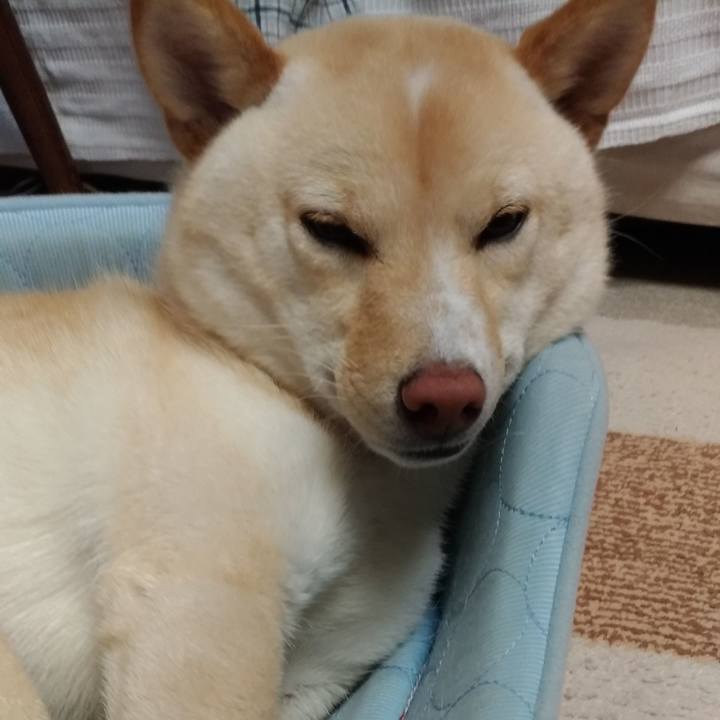 9f7b2f05 d433 45a9 8c3b 4d4b5a41812b 1526128136277