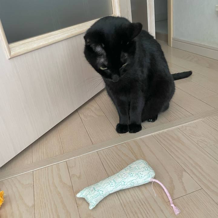 9f7b3768 f57a 4b0a a740 c4c9779232ae 1745112326014