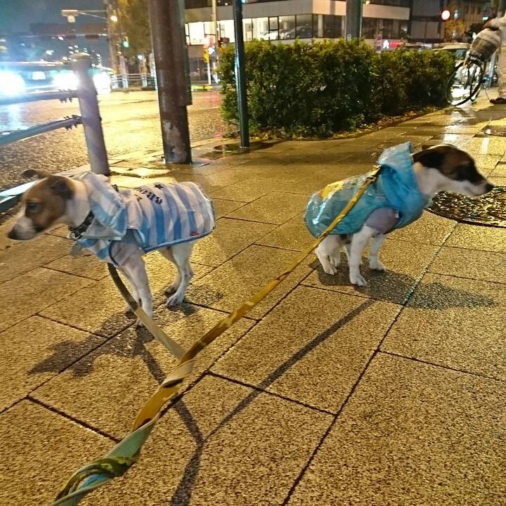 9f7b447d edb7 4ead bc57 27f31b6dd5f9 1544528380700