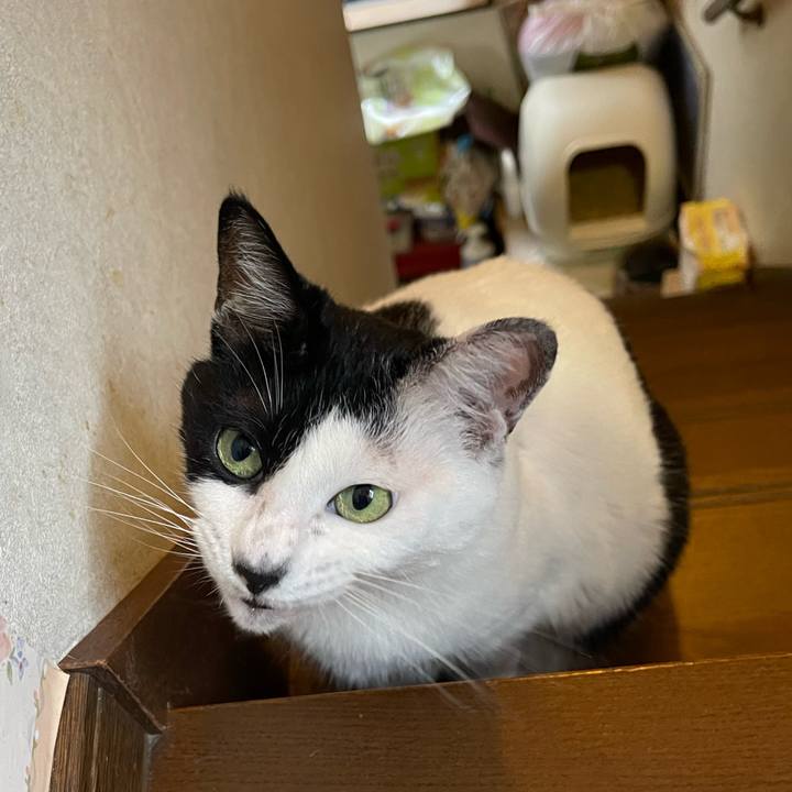 9f7b5269 86ab 41f9 8bde 057c17b4ddab 1753224757522