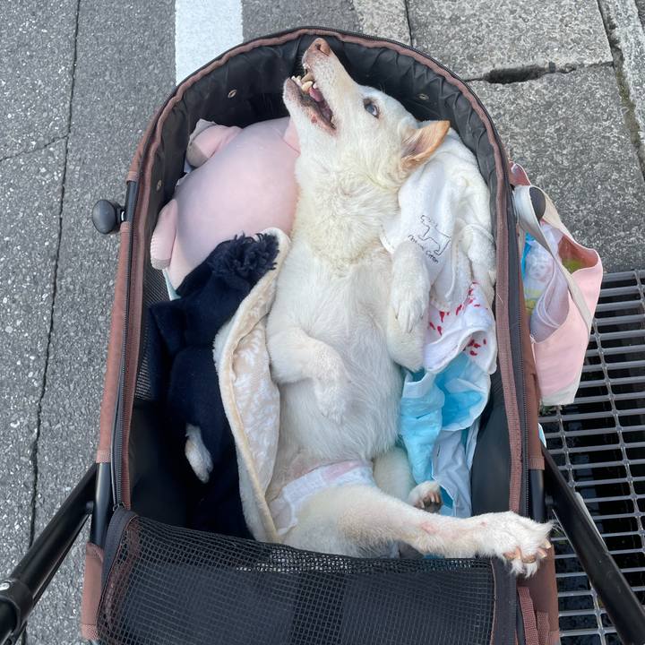 9f7b6db9 4bba 4ee1 92e3 57dcc77ba7a0 1678183698194