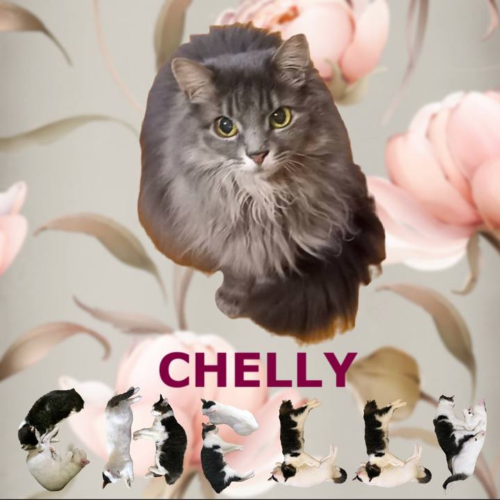 9f7baf95 1111 4366 8a51 4227575e5252 1668518714218