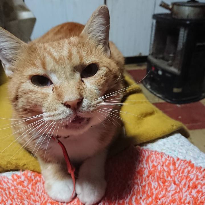 9f7bc6e0 752e 4225 908e 17fbd645988a 1570308580076