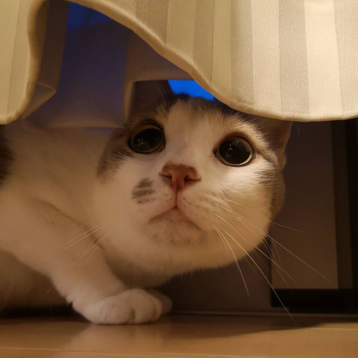 9f7bdcf5 828d 4999 8656 81dffd03e3ac 1591191182099