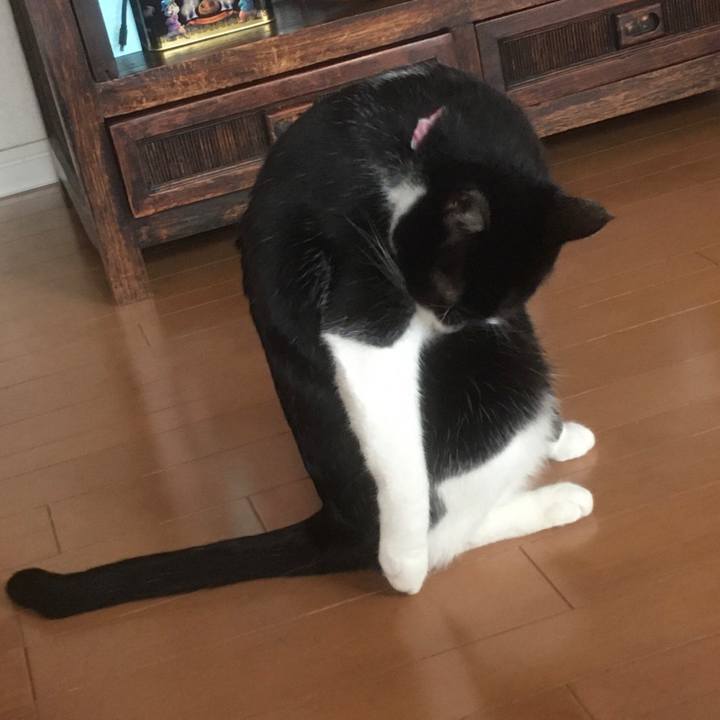 9f7c34a5 95b2 49a1 afe6 8249b59372be 1579833310372