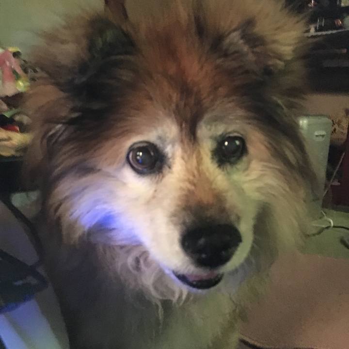 9f7c5b79 5268 4ccd 933b 8f93946e0041 1608933095072