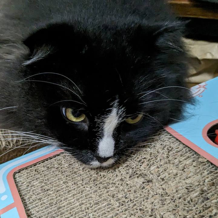 9f7c94b6 0971 4cd7 b698 89c34d42c90e 1686829747266