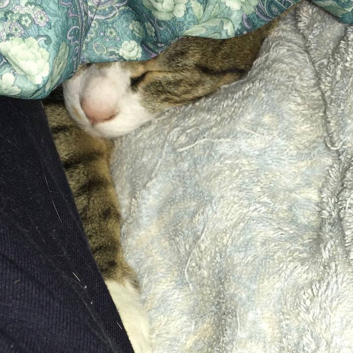 9f7ca58c 4474 4c79 852e 3e6d5cebdb23 1666829070694