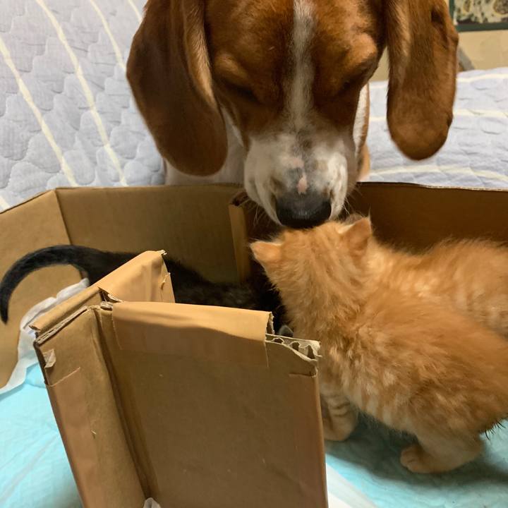 9f7ca680 b0f6 4803 8f59 133aa59996d0 1570266600847