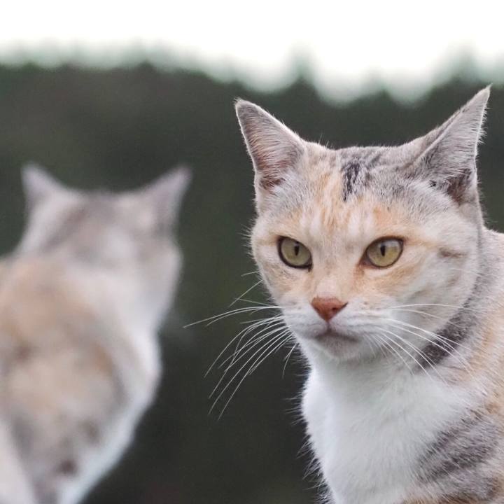 9f7d01fa 7f54 4483 9cdc 42cd0b9fa37e 1765799293744