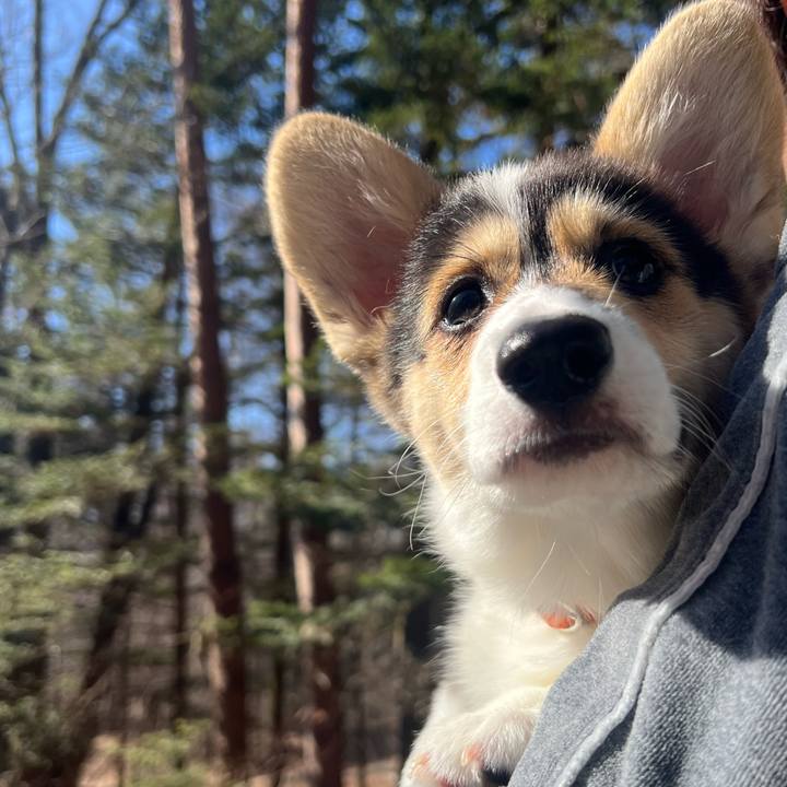 9f7d161c d0d8 4ee5 abc4 c8ffc142f909 1771122054950