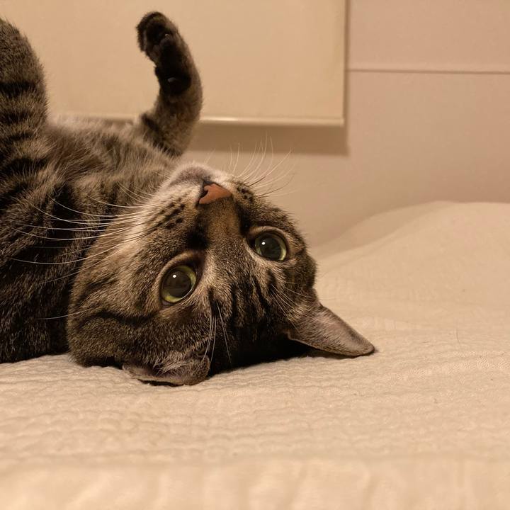 9f7d1716 8cb5 44d0 83fd bc14c12a4642 1756341440890