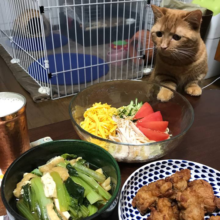 9f7d2fc4 b6c0 401f 880f 8cf6f4cd43ba 1524396293152