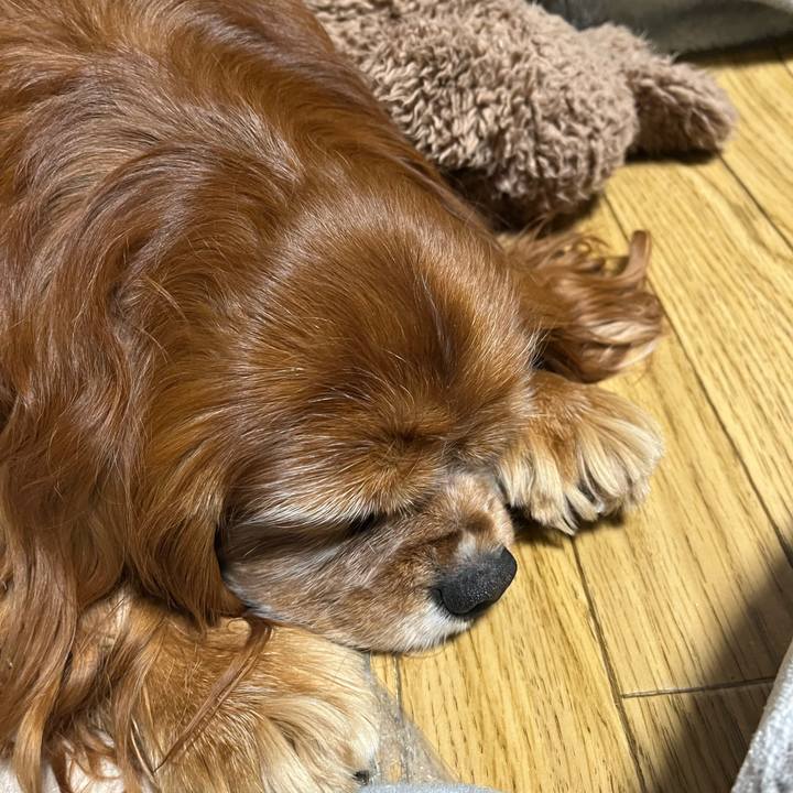 9f7d3e2b 5f4e 48a8 935a 103831c4523c 1738060871603