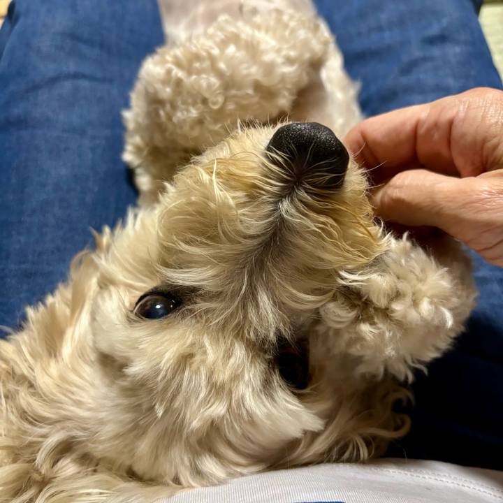 9f7d3f77 6dca 4f31 aef9 f62953883bd3 1759292902537