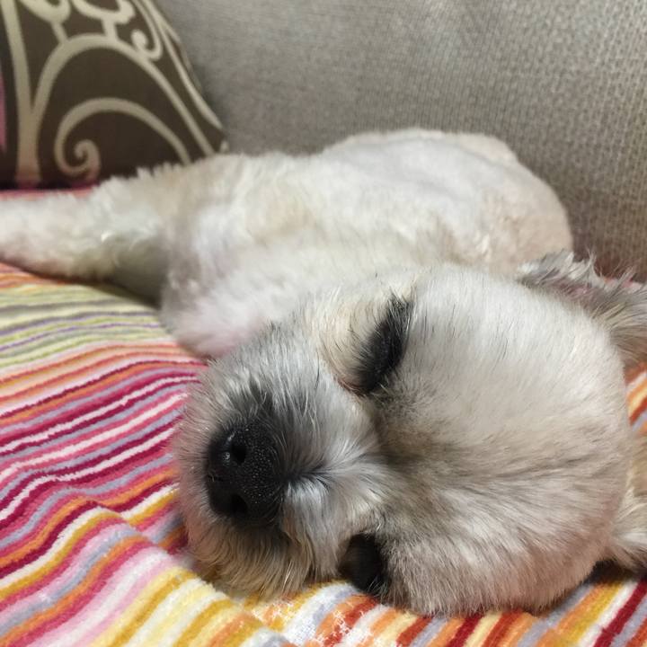 9f7d44b6 5cdd 4dbc afc6 b50dd3d64775 1528719714003