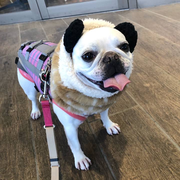 9f7d4af3 7a91 49ec 801d e33d44ca5695 1576907804991