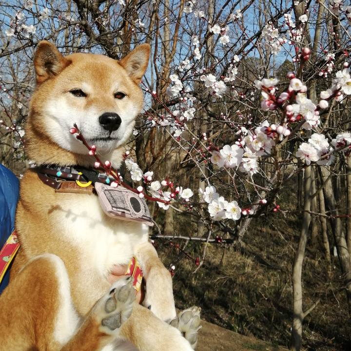 9f7d5df5 0023 416b a374 8348cdf757ef 1582536149940