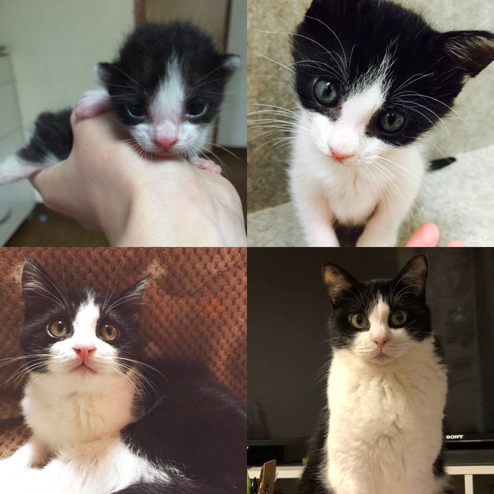 9f7d9a41 4a00 4878 abd5 188c26467b9c 1563931101165