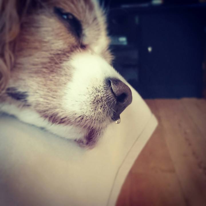 9f7dbee6 e2a2 4844 a4a3 4bb5b008964e 1510377087885