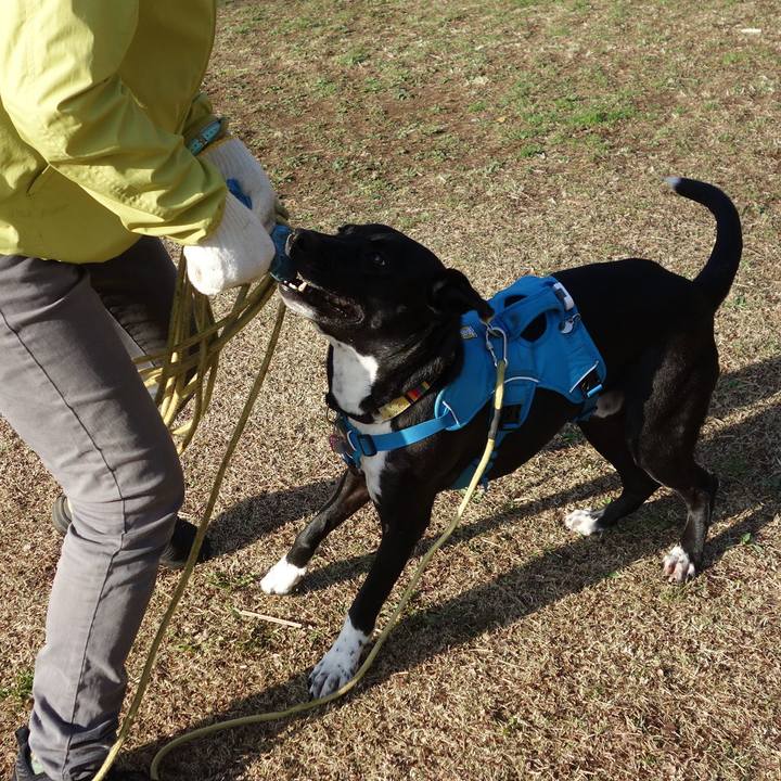 9f7dd956 9bb8 4730 8f87 7c91e79a8afd 1615940077316