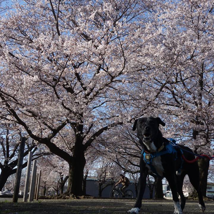 9f7df4e4 808a 4170 8568 bad83dc4191d 1616726218706