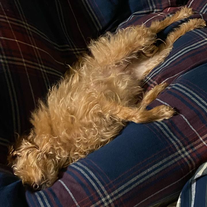 9f7e2427 29b6 4125 bbd9 436e8c506e4e 1703334749903