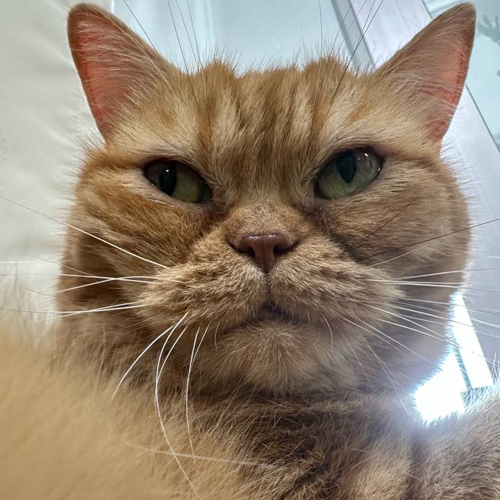 9f7e7490 66bb 4f94 a32f bf40dd631476 1757126241150