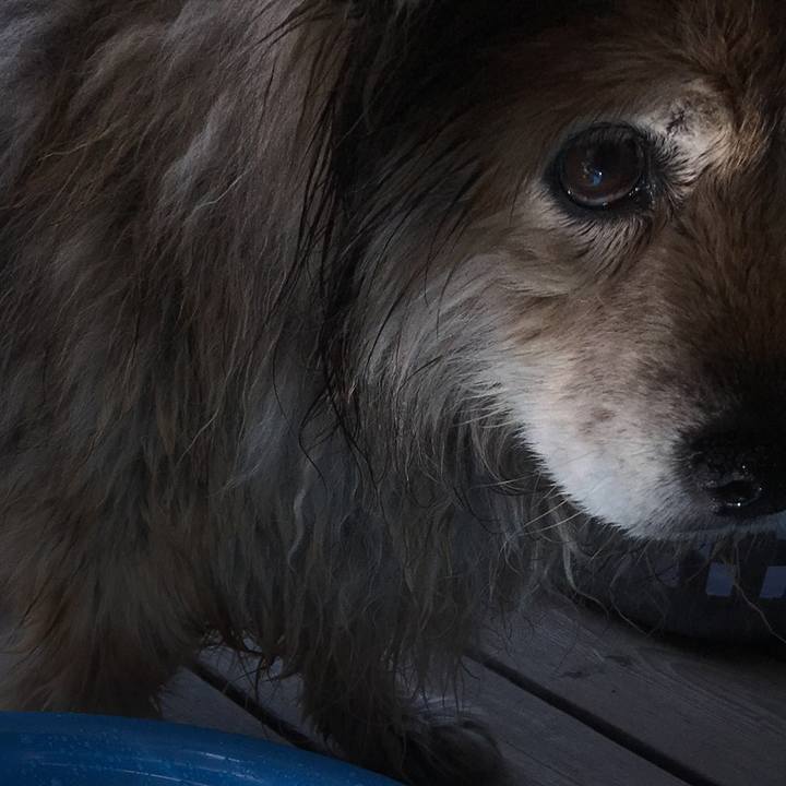 9f7ea7c2 1103 4075 9978 bfd3f03e19c3 1601254461561