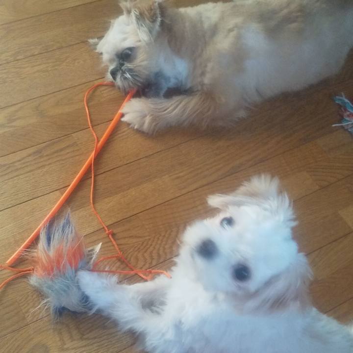 9f7eaac3 2c73 415b 9063 5eccf102929d 1694849516435