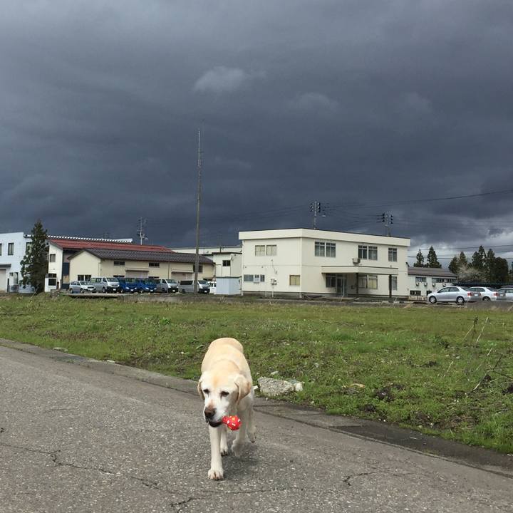 9f7ed81d b4a9 405e 8711 aa84e2f18117 1524563070624