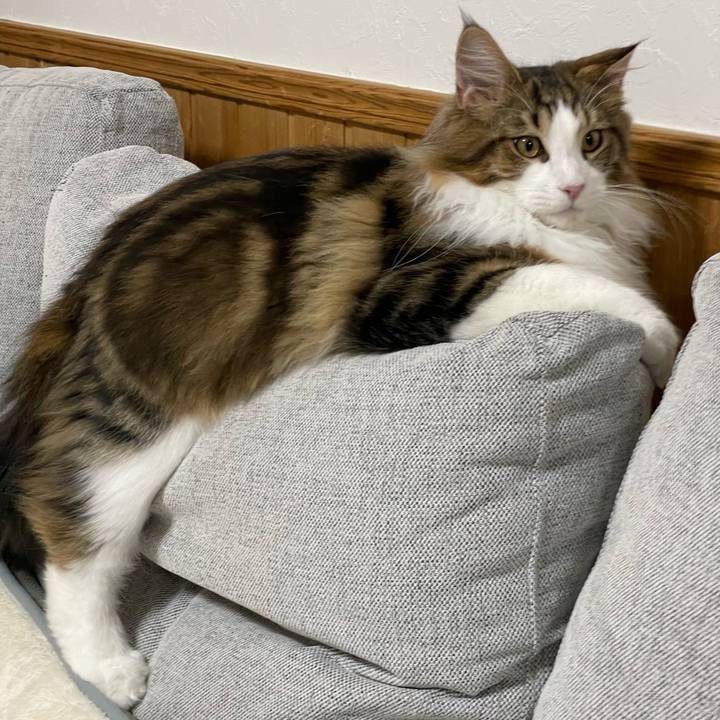 9f7eef7a 8f16 4223 9bb9 e9078fbec84c 1639516556000