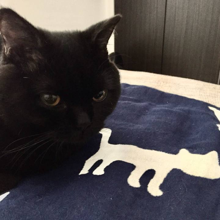 9f7f4559 e2d1 4737 9e9d 3a7cc4becea7 1761137713237