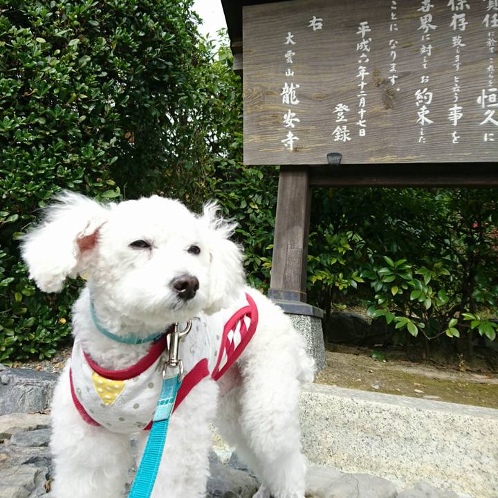 9f7f4a90 f118 4f1f b70a fa3fd85f1ba9 1541421808037