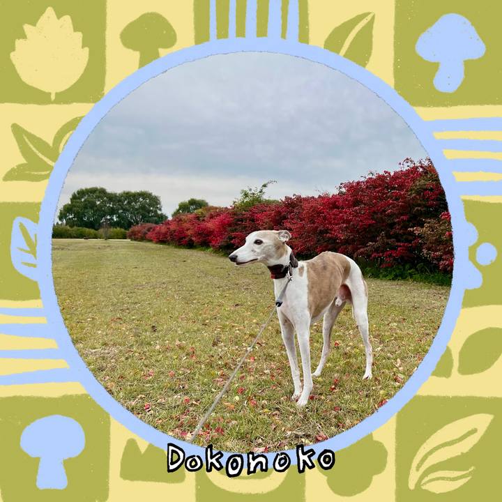 9f7f6d05 34e6 40bc 8079 7e58e271934b 1762071112928