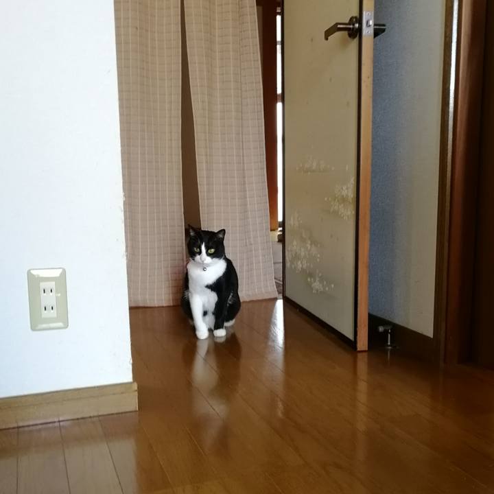 9f7f7cae 656a 4009 8125 988dfe0fcd3d 1552110092159