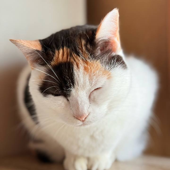 9f7f8d14 322d 4173 99a5 0b87aff9781a 1733883138714