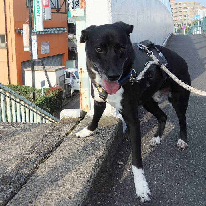 9f7fbdb7 402f 4698 bdb3 692711bf968d 1661300181455